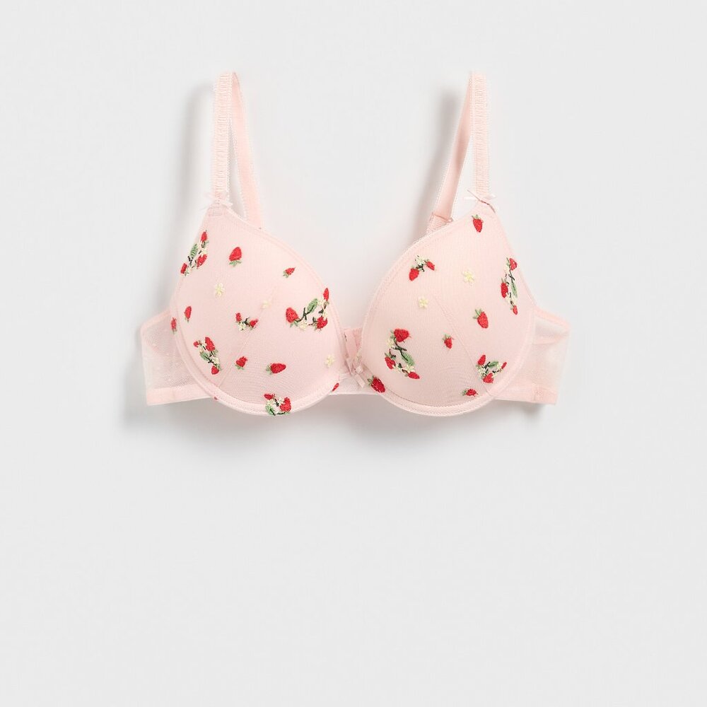 Blush Pink Lingerie Push up brasserie with red strawberry embroidery 32C